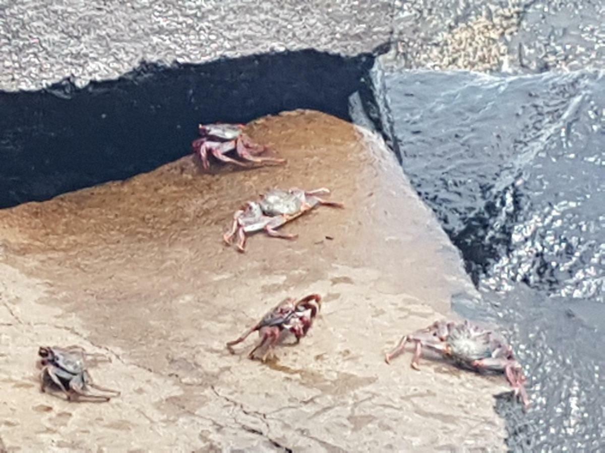 B&B La Caleta Zimmer 3 La Mareta المظهر الخارجي الصورة